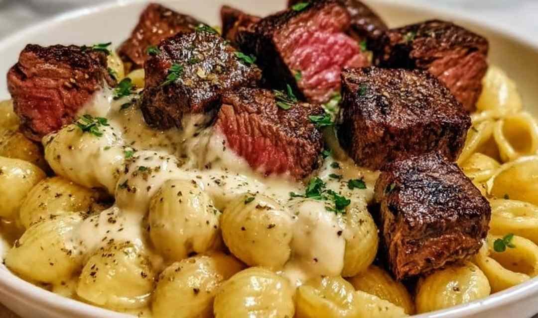 Steak bites and shell pasta in a creamy garlic butter Alfredo sauce
