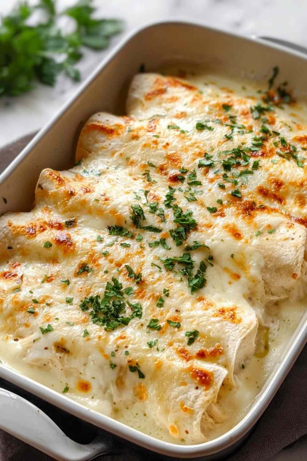 Creamy white chicken enchiladas baked in a 9x13 dish with golden melted cheese